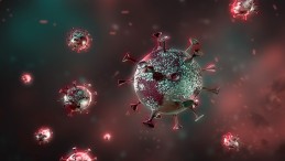 FLAŞ! Mutasyonlu Korona Türkiye’ye Sıçradı