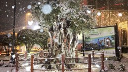 İzmit Halkının Gözdesi Oldu; İşte Muhteşem Görüntü