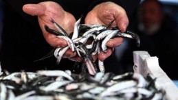 Flaş Açıklama! Yasak Kalkıyor