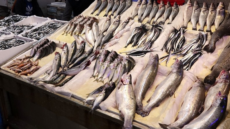 Yasak Kaldırıldı; Hamsi Avı Başladı