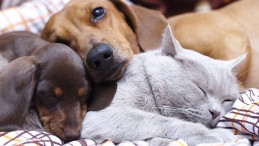 Yeni Dönem Başlıyor; İmzalar Atıldı