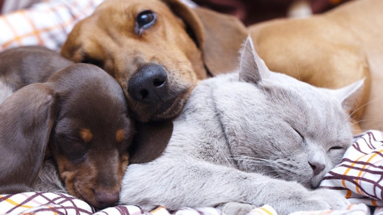 Yeni Dönem Başlıyor; İmzalar Atıldı
