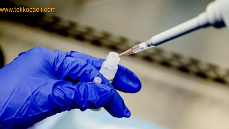 Müjde Gibi; Korona Verilerinde Düşüş