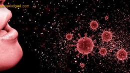 Bakan Koca Haritayı Açıkladı; Kocaeli’de Yükseliyor