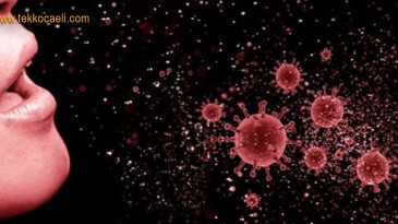 Bakan Koca Haritayı Açıkladı; Kocaeli’de Yükseliyor