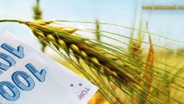 Bakan Müjdeyi Verdi; Ödemeler Başladı