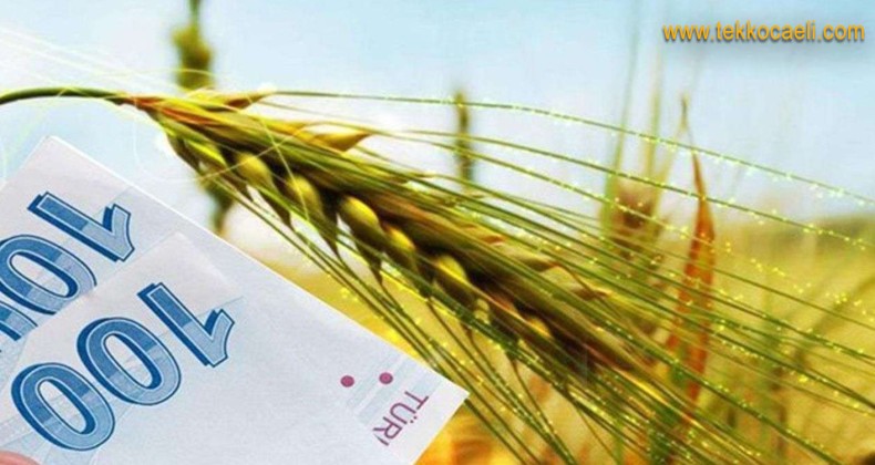 Bakan Müjdeyi Verdi; Ödemeler Başladı