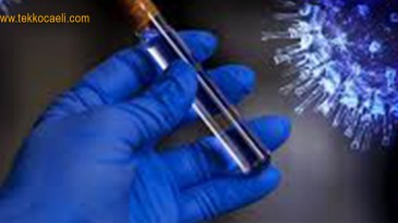 Korkunç Tablo; Ürkütücü Rakamlar