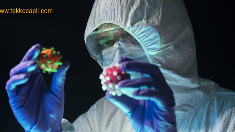 Türkiye’de İlk Kez Görüldü; Aman Dikkat!