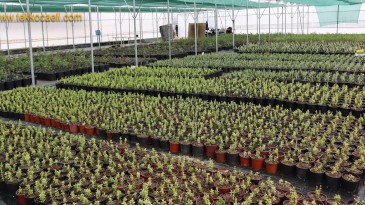 Geri Sayım Başladı; İzmitliler’e Kapılarını Açıyor