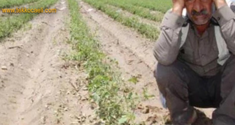 Çiftçinin Borcu Yeniden Yapılandırılacak