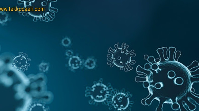 Korkutan Uyarı; Acilen Kapatılmalı