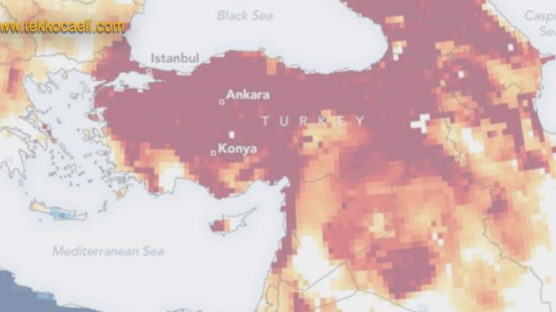 Bu Bir Felaket; İnsanlığı Bekleyen Büyük Tehlike