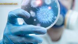 Haftalık Korona Tablosunu Paylaştı; İnanılmaz…