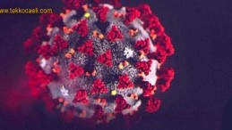 Koronada Rahatlayacağımız Tarihi Açıkladı