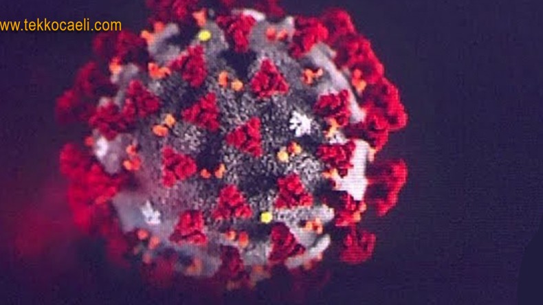 Koronada Rahatlayacağımız Tarihi Açıkladı