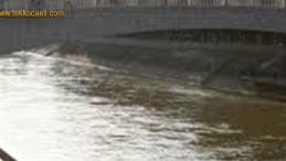 Arıların Saldırısı İmamı Öldürdü