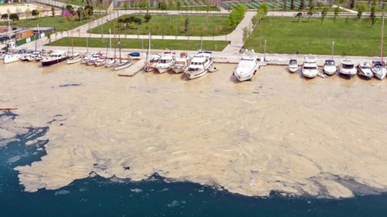 Dünya Marmara’daki Tehlikeyi Konuşuyor