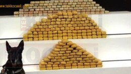 Kocaeli Polisi Geçit Vermiyor; Tam 140 KG…