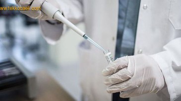 Vefat Sayısı Yüksek, Vaka Sayısı Düşüyor