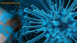 Korona Evlere Böyle Geliyor; DİKKAT!