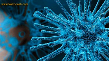 Korona Evlere Böyle Geliyor; DİKKAT!