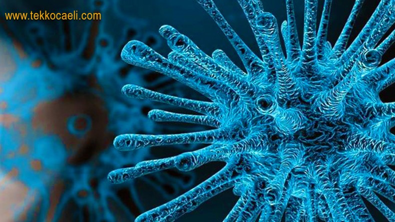 Korona Evlere Böyle Geliyor; DİKKAT!