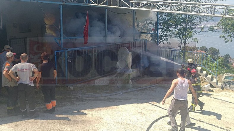 Gölcük’teki Besi Çiftliğinde Yangın