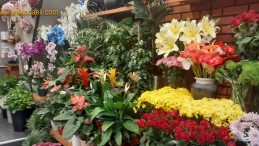 Çiçekçiler Anneler Günü Nedeniyle Açık Olacak mı?