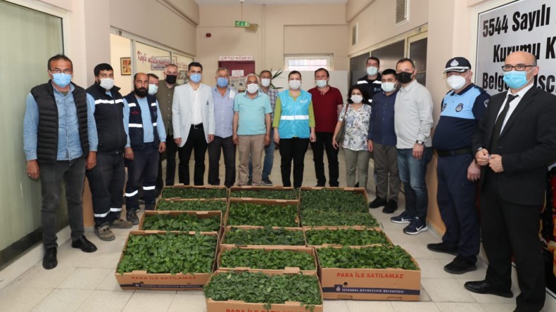 Hürriyet’ten Kocaeli’nin Tüm İlçelerine Fide Desteği