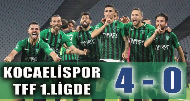 Kocaelispor TFF 1. Ligde
