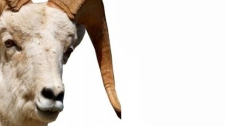 Kurban Bayramı Tatili Kaç Gün Olacak?