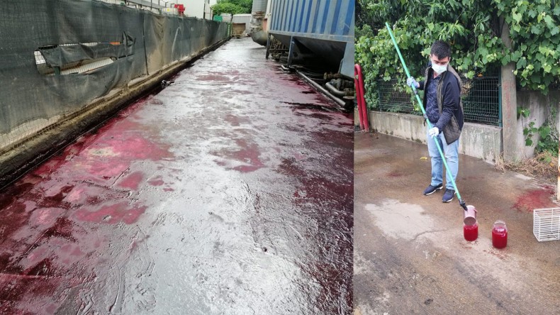 Büyükşehir Belediyesi Çevre Felaketine İzin Vermedi