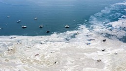 Müsilajın Depremle İlgisi Var mı?