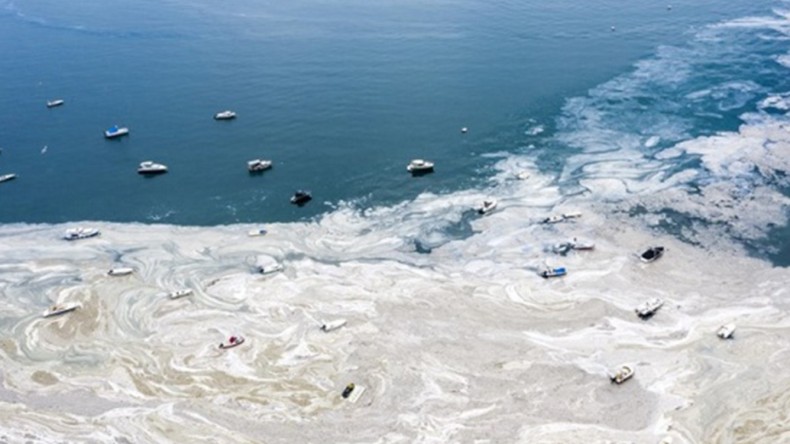 Müsilajın Depremle İlgisi Var mı?