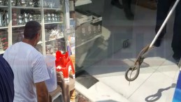 AVM’de Yılan Paniği