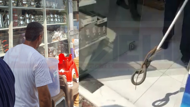 AVM’de Yılan Paniği