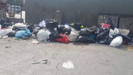 Tüm Uyarılara Rağmen; Yine Yaptılar Yapacaklarını…