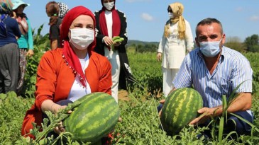 MÜJDE! Kandıra Karpuzu Tescillendi