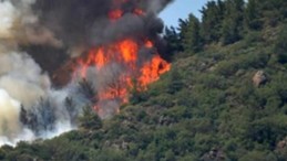 Körfez’deki Orman Yangınıyla İlgili 1 Kişi Gözaltına Alındı