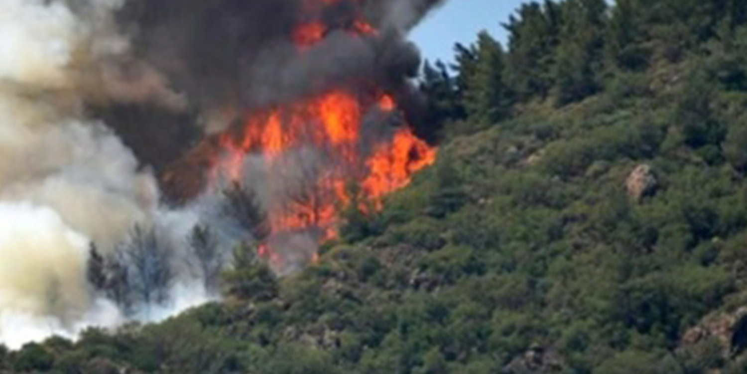 Körfez’deki Orman Yangınıyla İlgili 1 Kişi Gözaltına Alındı