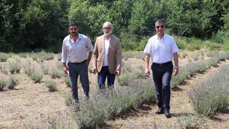 Lavanta Bahçeleri İddiasına Şakoğlu Yanıt Verdi