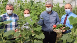 Ak Parti’den Bayraktar Köyü’ne Çıkarma