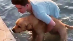 Denize Düşen Köpek Böyle Kurtarıldı