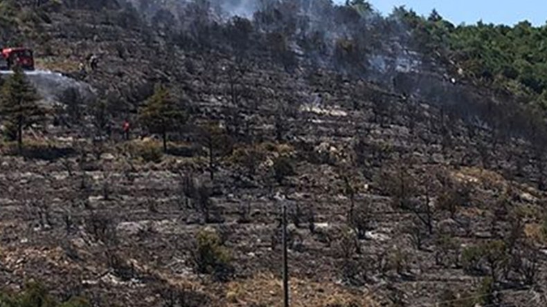 Körfez’de Orman Yangını