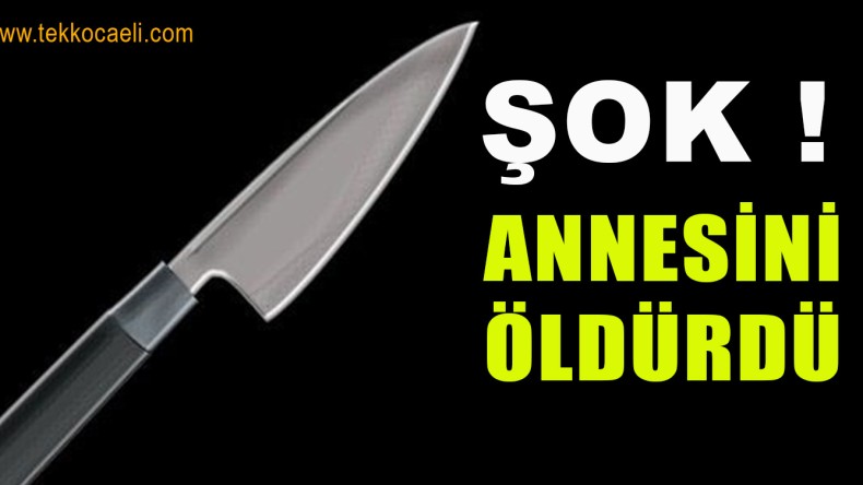 ŞOK! Annesini Bıçaklayarak Öldürdü