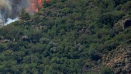 Kimse Beklemiyordu; 2 Yıl Boyunca Yasaklandı