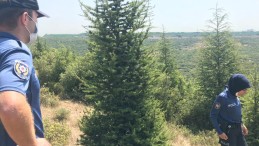 Bunu Sakın Yapmayın; Denetim Var