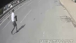 Şoför Yolda Yavru Köpeği Görünce Bakın Ne Yaptı