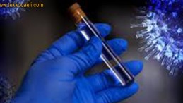 Şok Rakam; 255 Kişi Hayatını Kaybetti